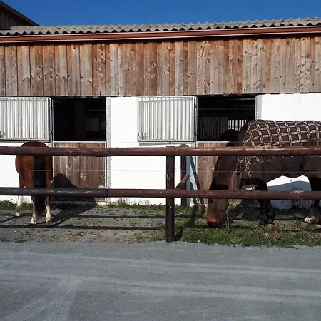 Апартаменты Du Haras *