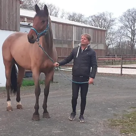 Du Haras * Moult