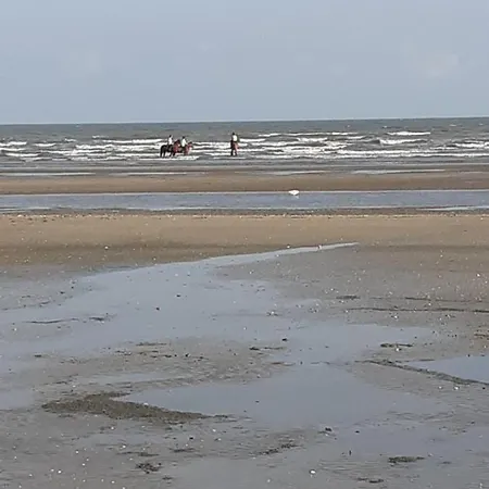 Du Haras Appartement