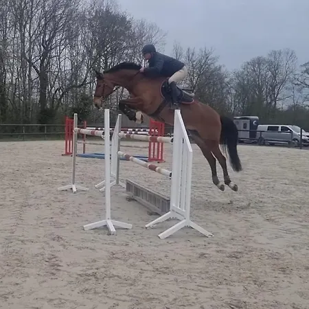 Du Haras Апартаменты *