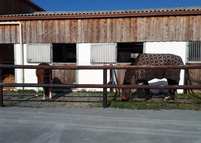 Апартаменты Du Haras *