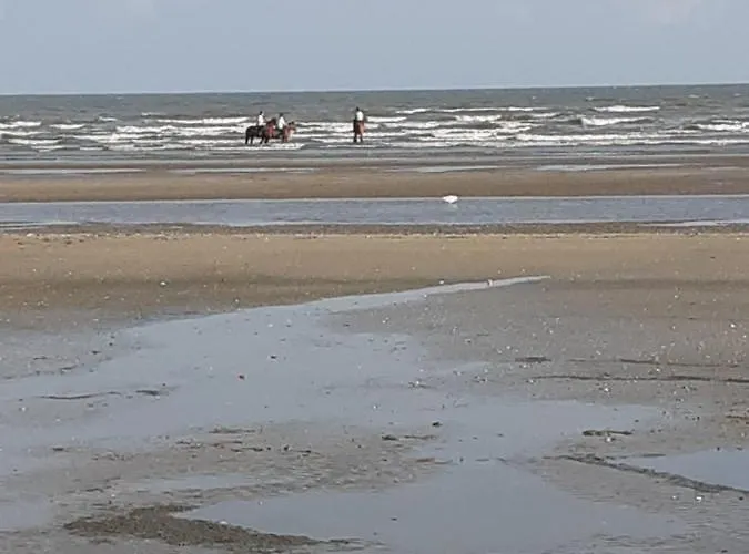 Du Haras Апартаменты